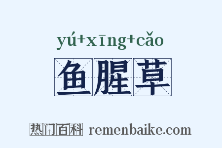 鱼腥草是什么意思的图片